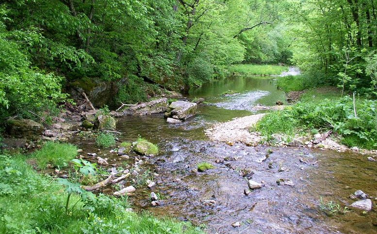 Beaver Creek Valley State Park, Minnesota, USA
